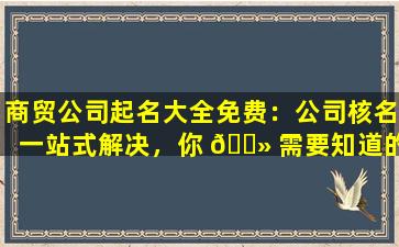 商贸公司起名大全免费：公司核名一站式解决，你 🌻 需要知道的所有要点！